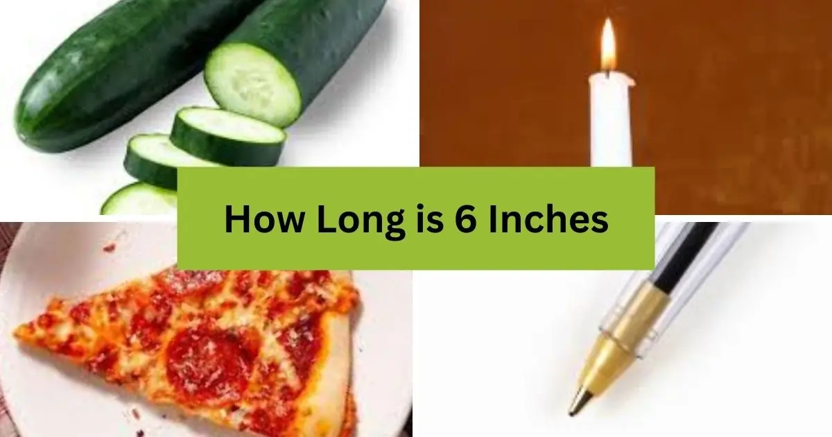 objects equal to 6 inches long