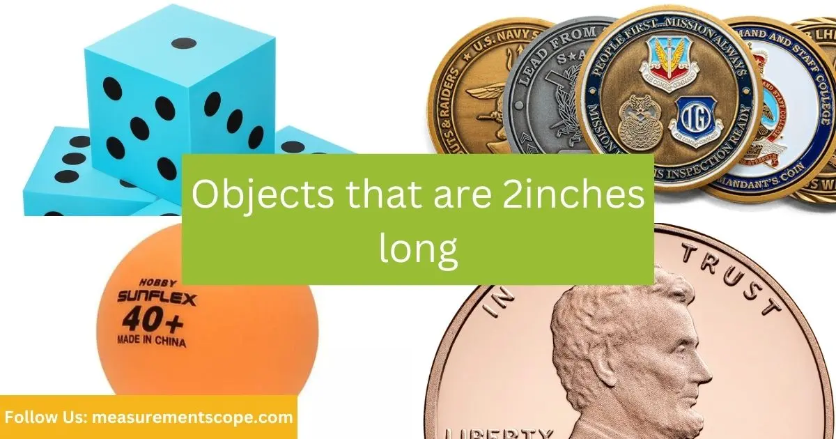 objects equal to 9 inches long