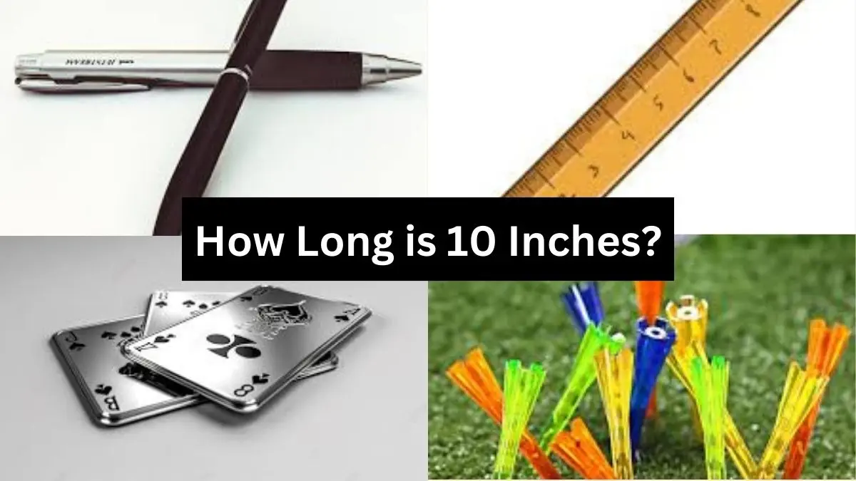 objects that are equals to 10 inches