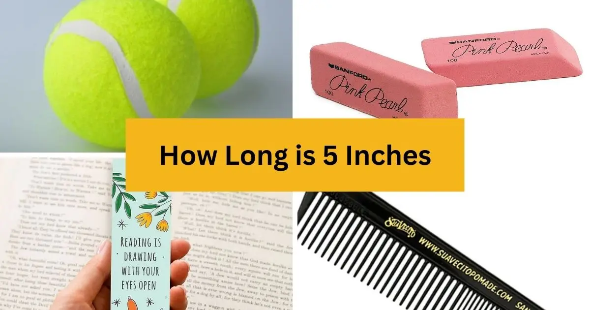 objects equal to 5 inches long