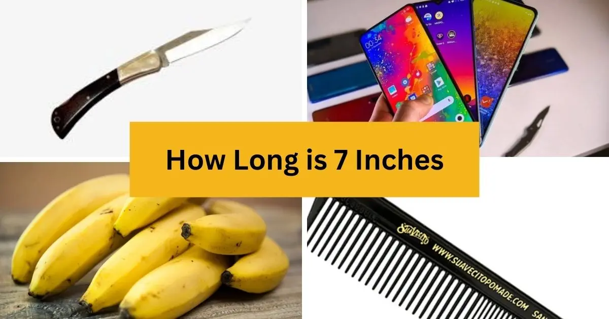 objects equal to 7 inches long