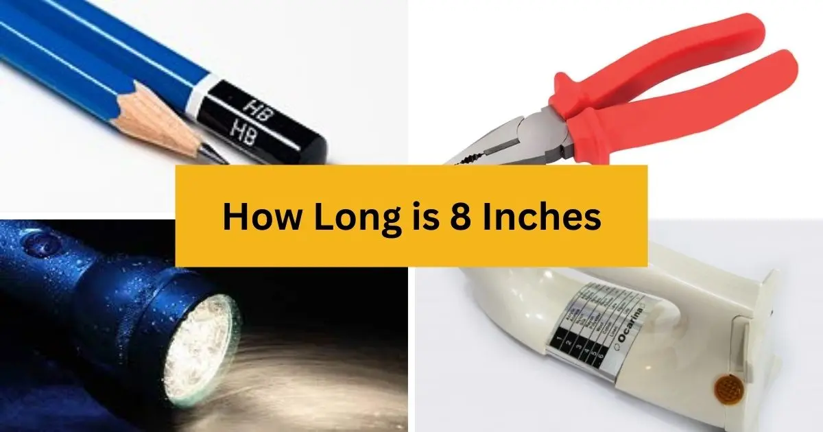 objects equal to 8 inches long