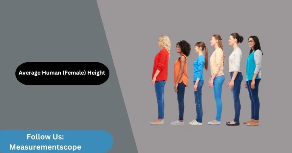 female height