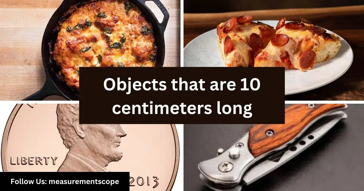 objects equal to 10 centimeters long