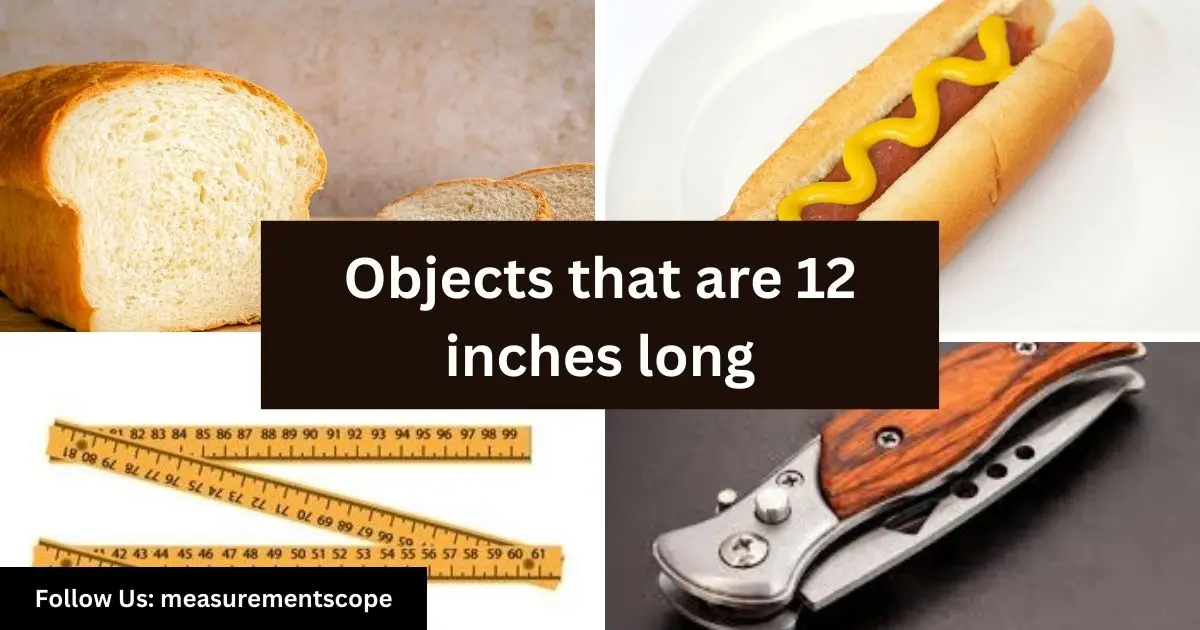 objects equal to 12 inches long