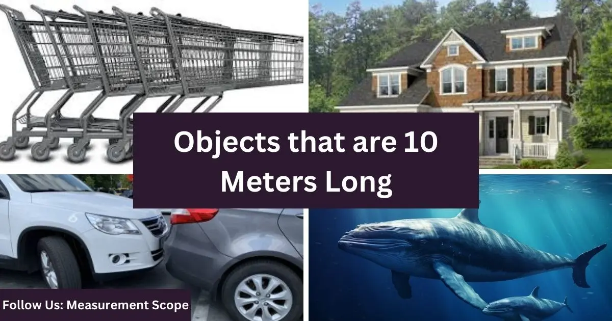 objects equal to 10 meters long