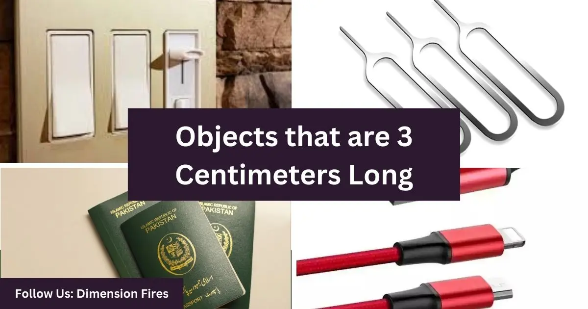 objects equal to 3 centimeters long