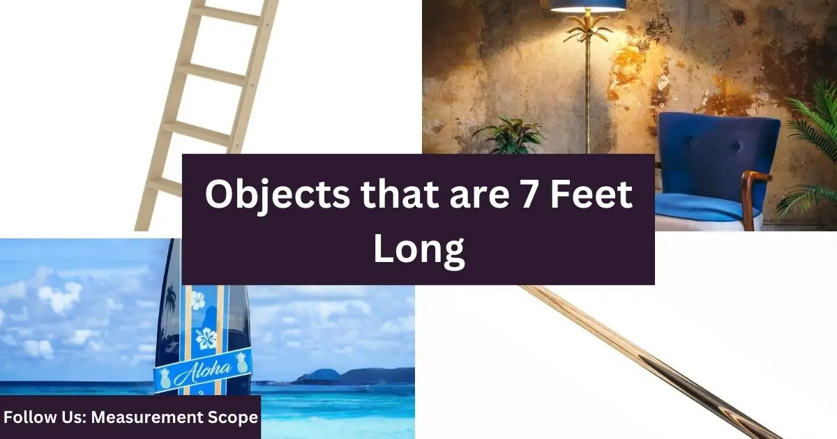 objects equal to 10 feet long