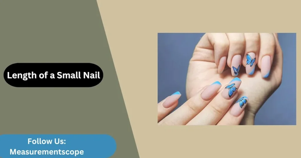 small nail