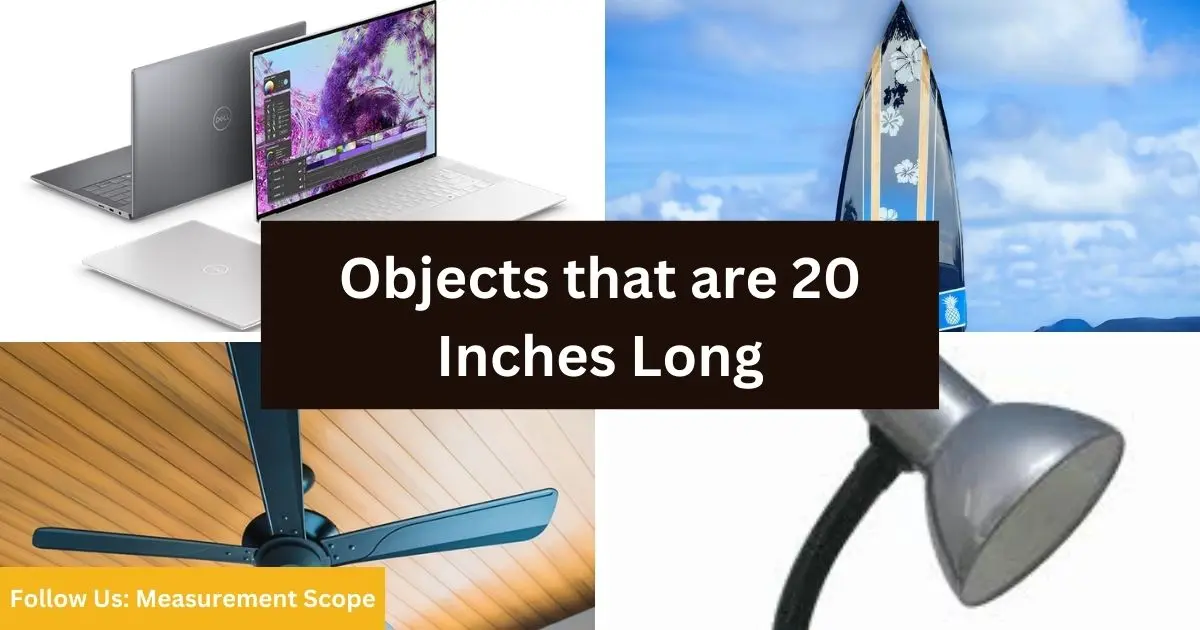 objects equal to 20 inches long