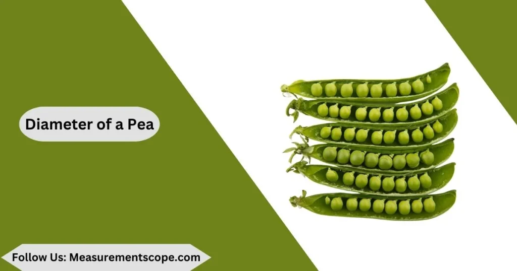 Pea