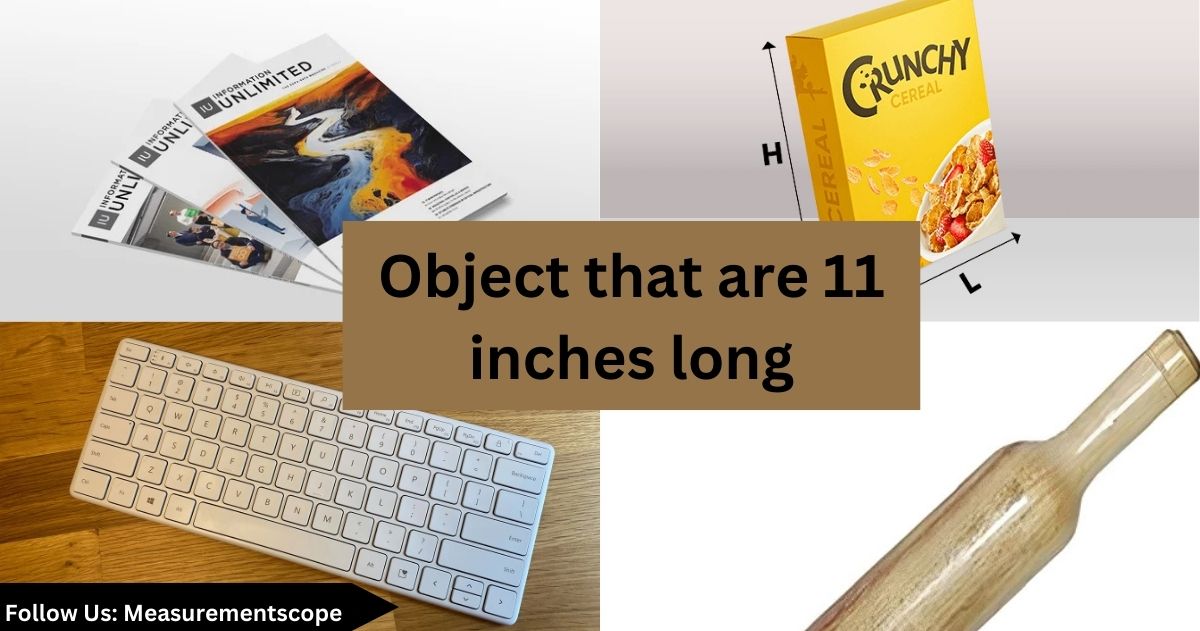 objects that are 11 inches