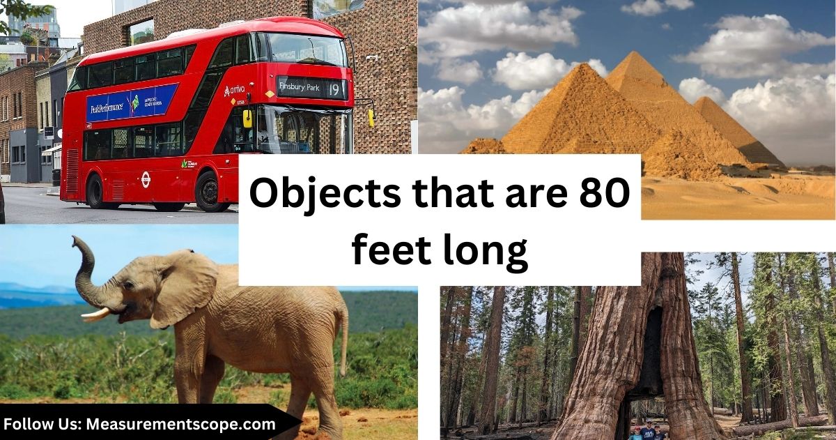 objects that are 80 feet long